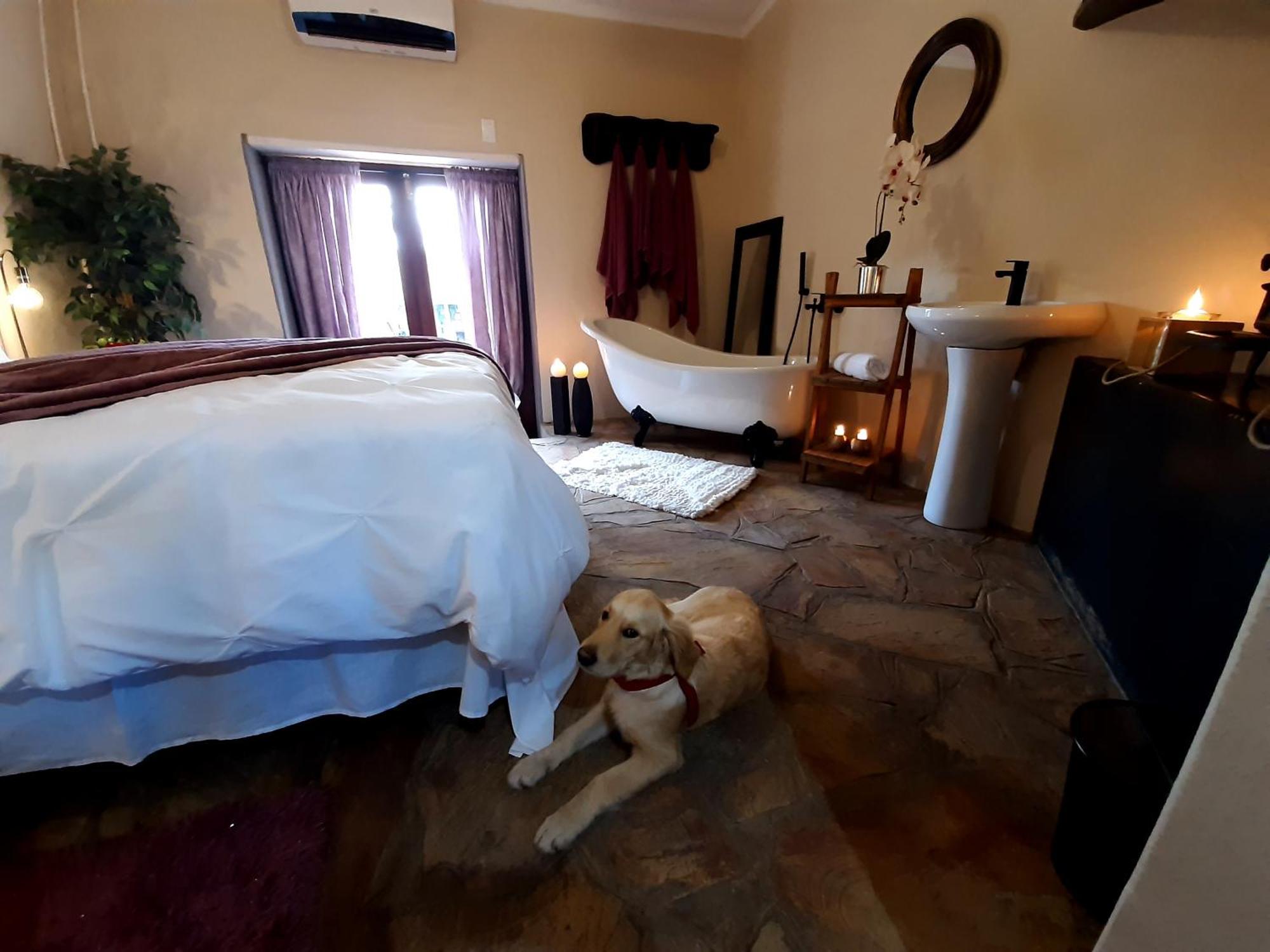 Rosenhof Manor House - Since 1847 Διαμέρισμα Clanwilliam Εξωτερικό φωτογραφία